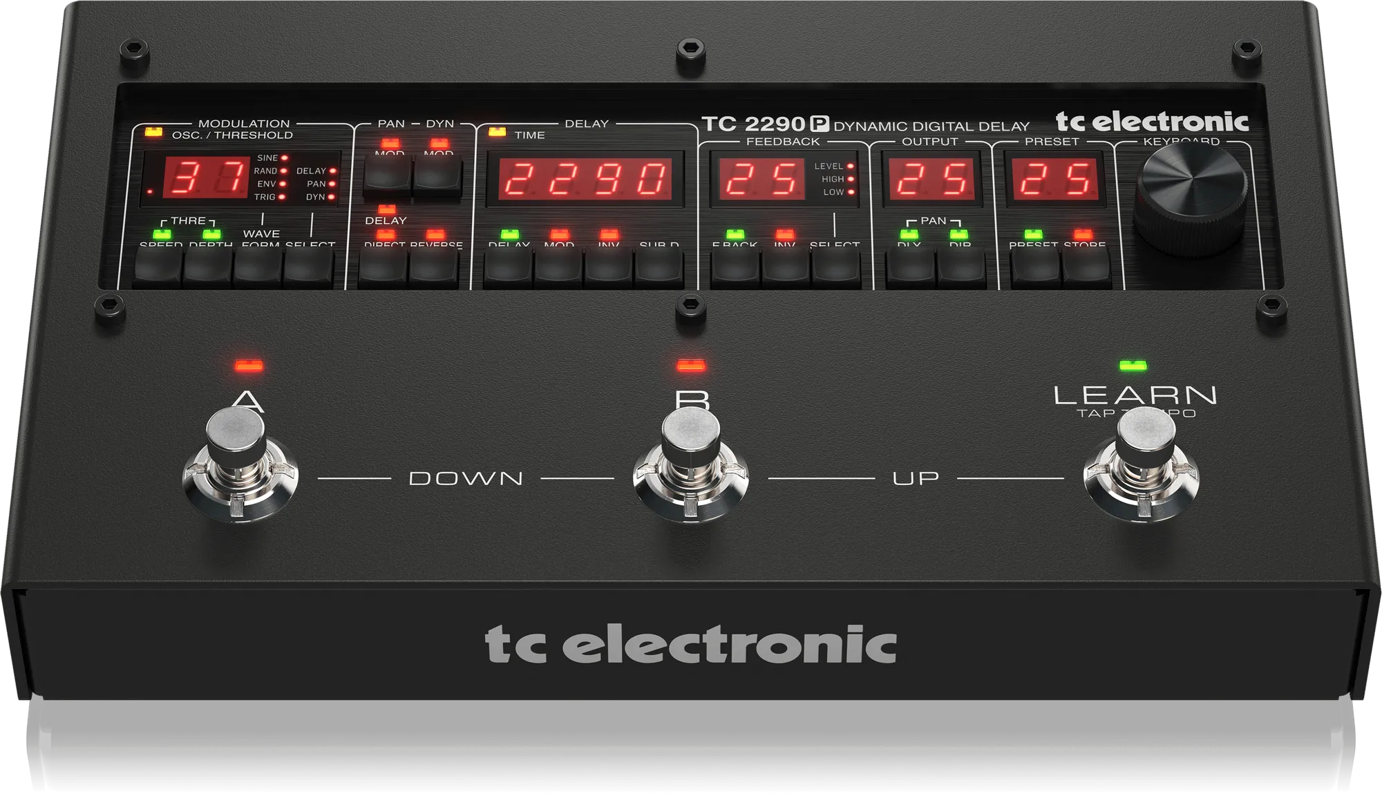 2290 P DYNAMIC DIGITAL DELAY