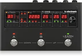 2290 P DYNAMIC DIGITAL DELAY