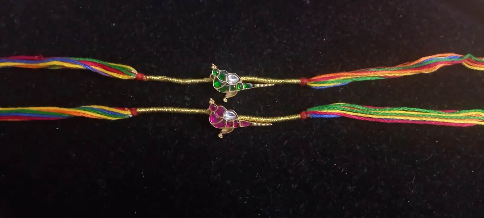 Bird  Rakhi