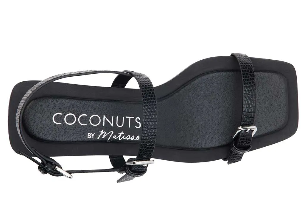 Coconuts by Matisse Women's Maya